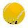 fuzzball59