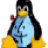 nixgeek